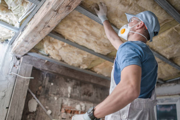 Best Insulation Materials and Products in Dove Valley, CO